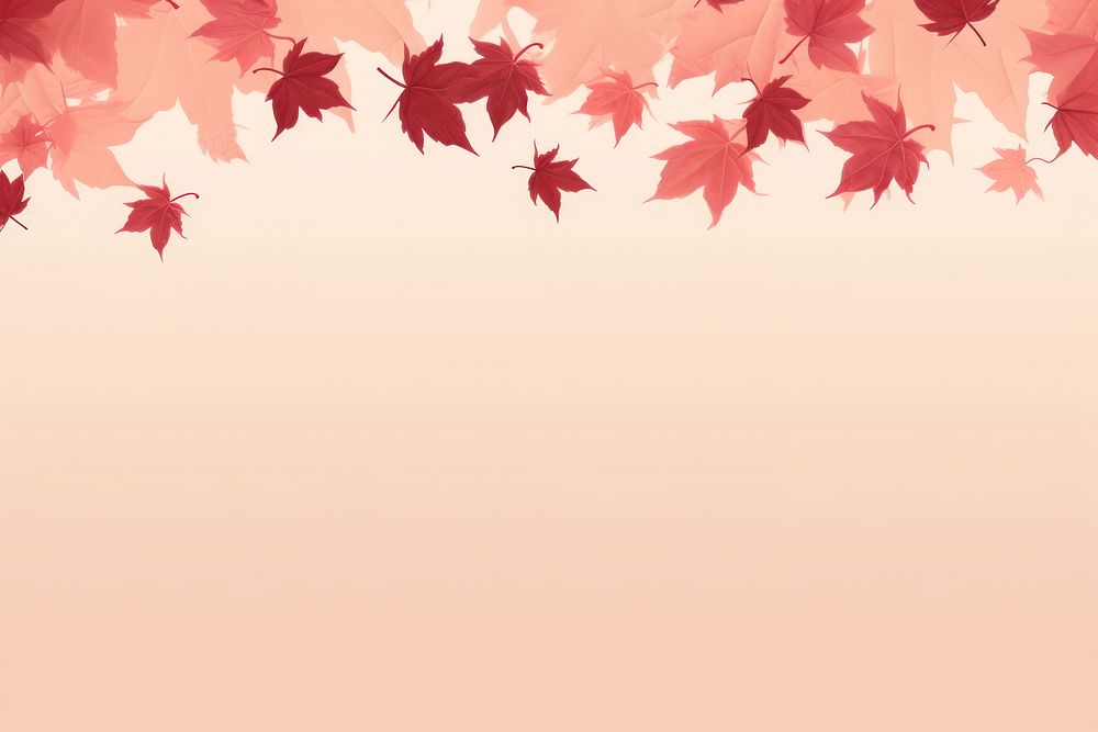 Maple leaves border cute backgrounds autumn plant. AI generated Image by rawpixel.