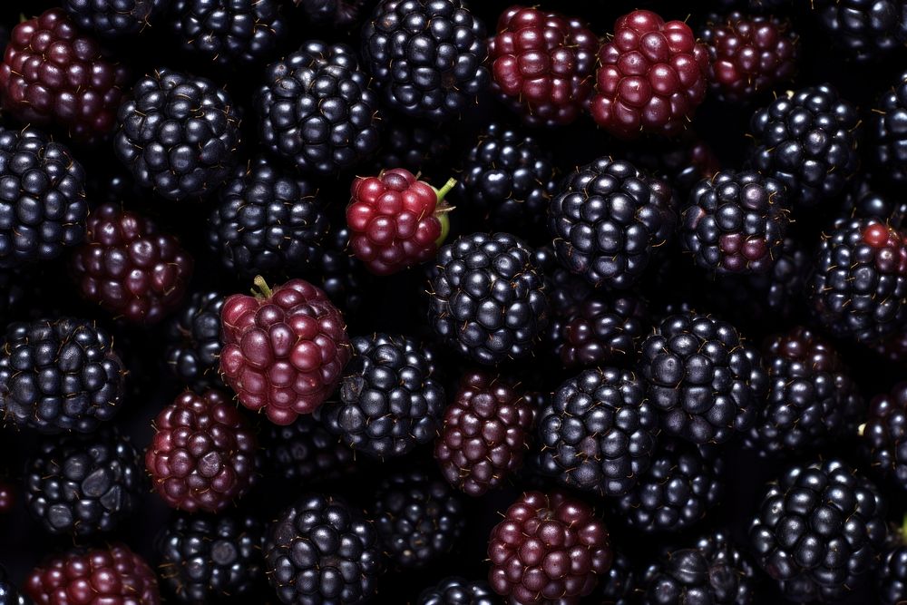 Blackberry fruit food pattern.