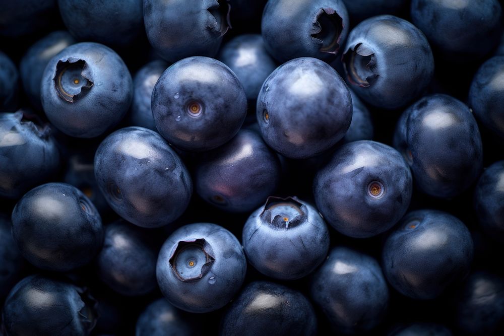 Blueberry fruit food plant.