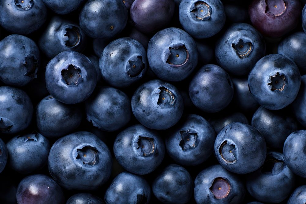 Blueberry fruit food plant.