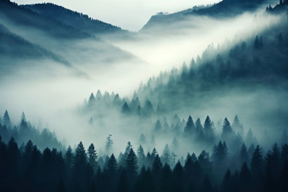  Fog backgrounds landscape outdoors. 
