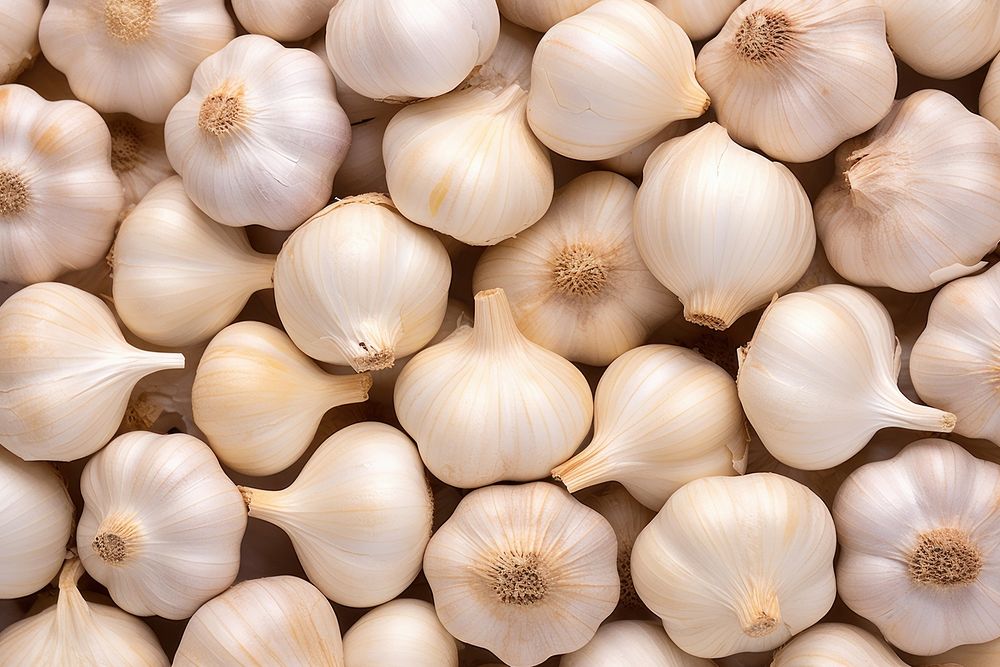 Vegetable garlic food pattern.