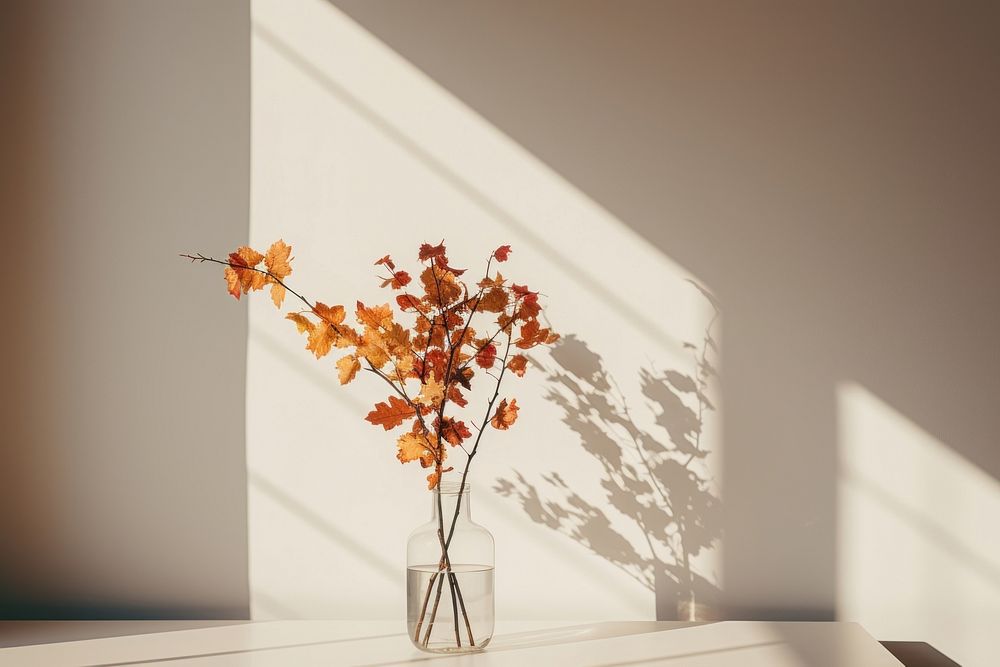 Dining table autumn flower window. AI generated Image by rawpixel.