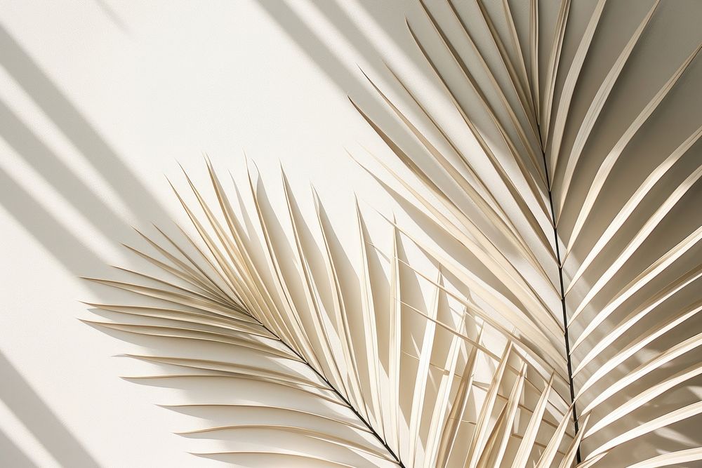 Shadow palm leaves pattern white backgrounds. AI generated Image by rawpixel.