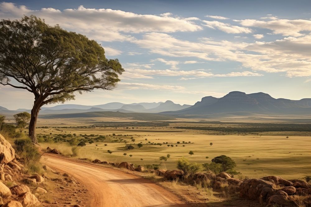 South africa scenery landscape outdoors nature.