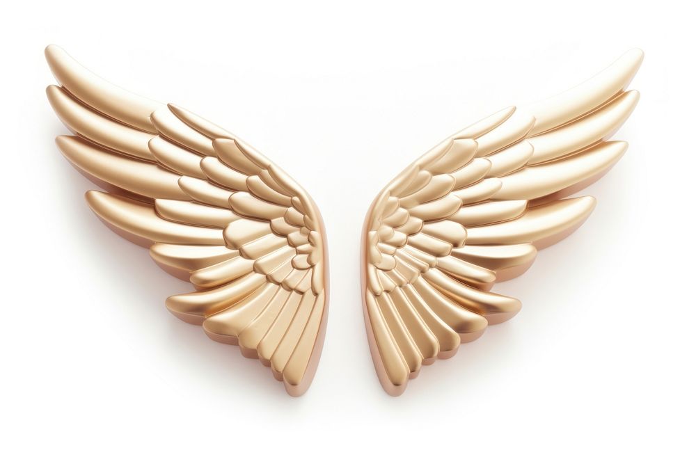 Angel wings white background accessories accessory.