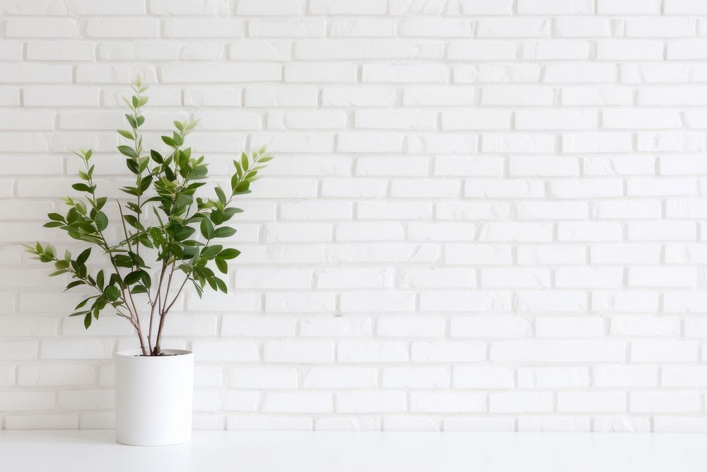 White brick wall background architecture plant leaf. AI generated Image by rawpixel.