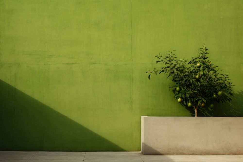 Green wall architecture plant leaf.