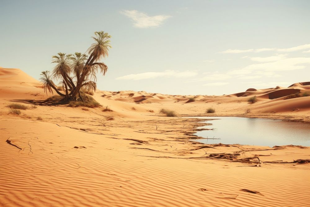 Oasis in a sandy desert landscape outdoors nature.