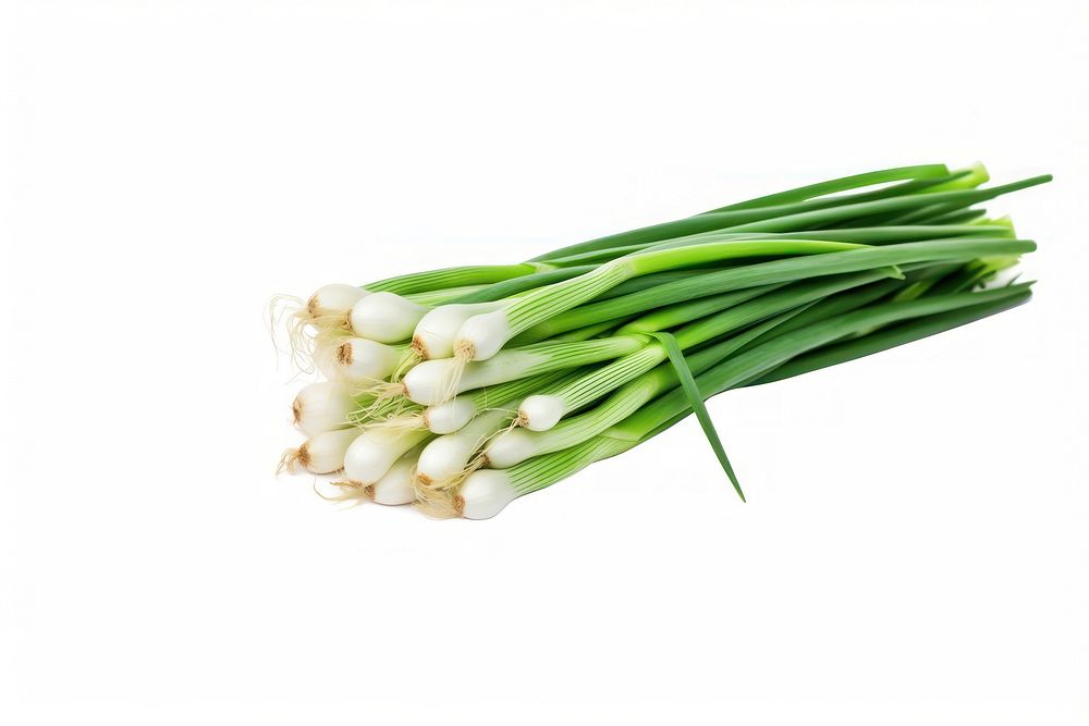 Fresh spring onions vegetable plant food. AI generated Image by rawpixel.