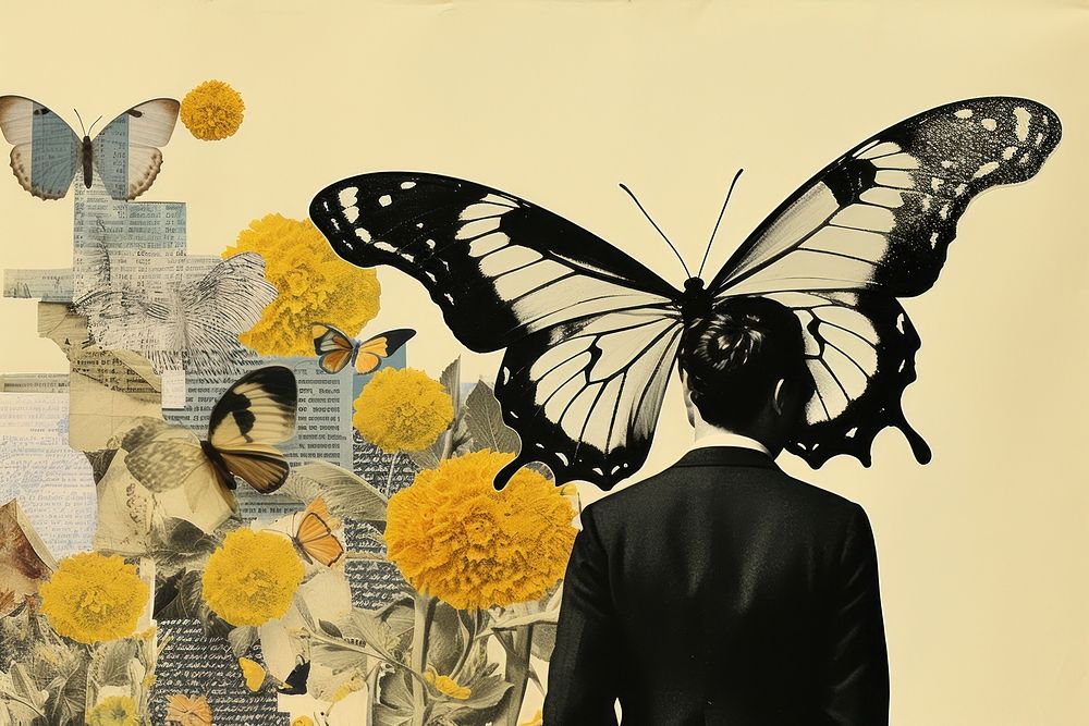 Butterfly painting drawing collage.