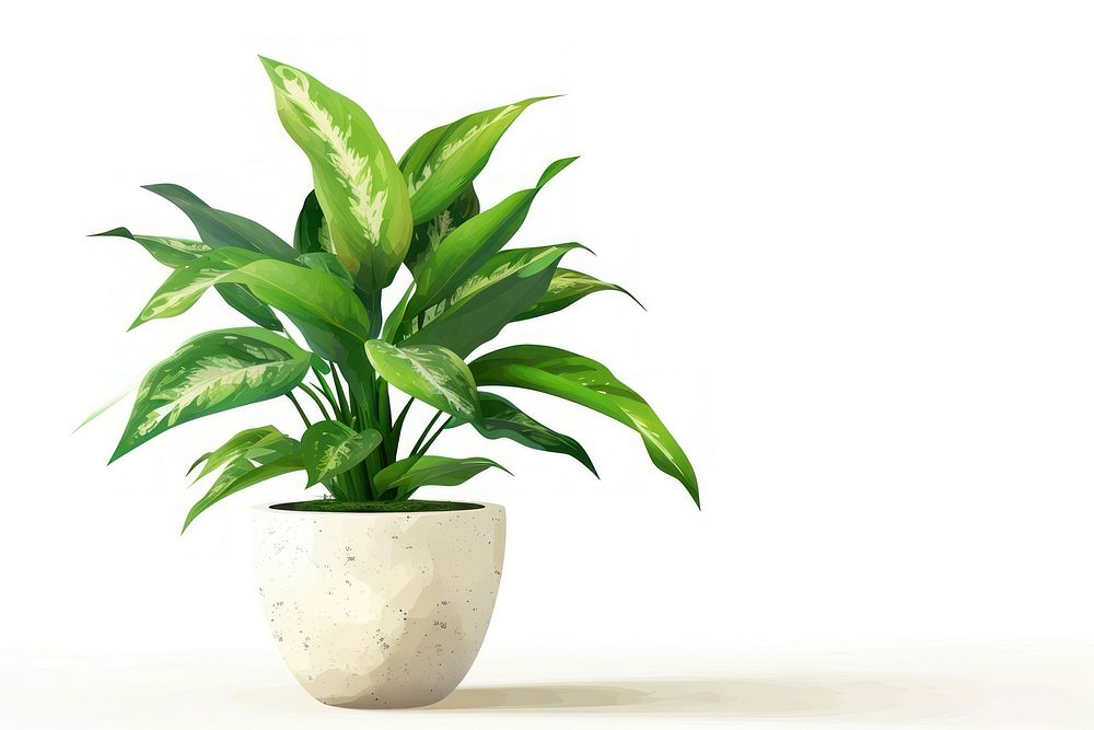 Plant flowerpot leaf vase.