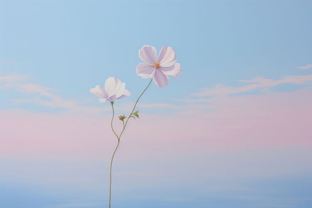  Flower in the air and pastel sky outdoors blossom nature. 