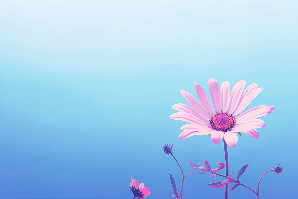  A colorful Daisy feild wallpaper in the morning flower daisy backgrounds. AI generated Image by rawpixel.