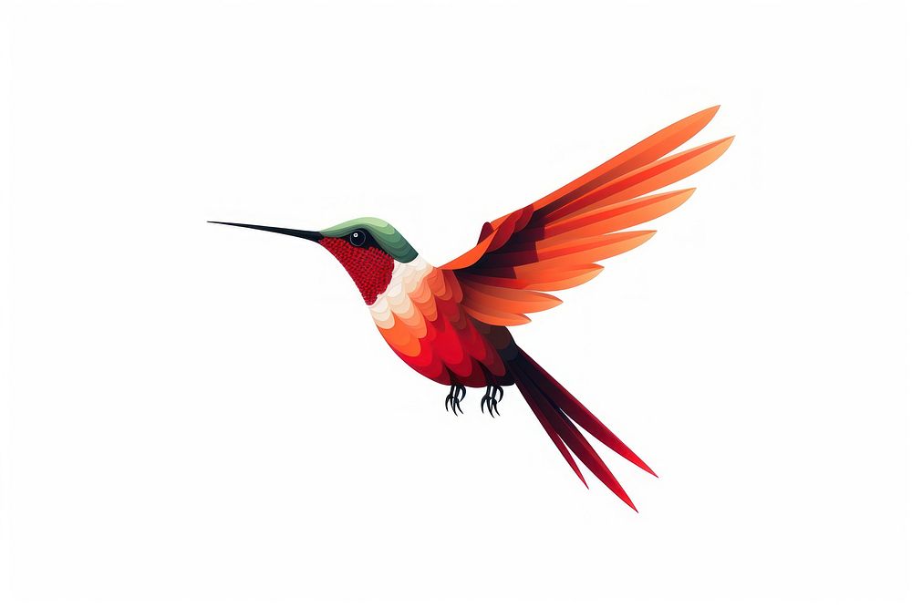 Hummingbird flying animal beak white background. AI generated Image by rawpixel.