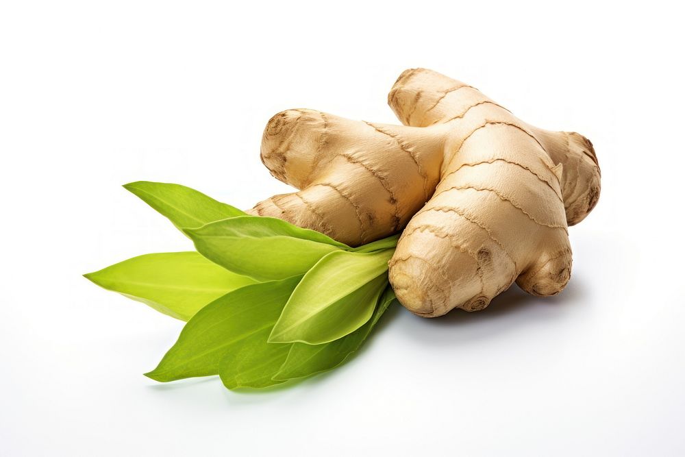 Ginger plant food leaf. AI generated Image by rawpixel.