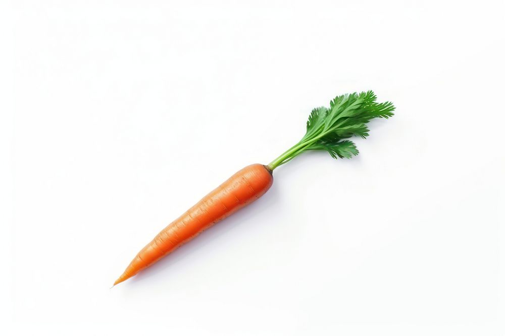 Carrot vegetable plant food.
