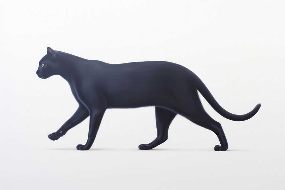 Surrealistic painting of Black cat pet mammal animal.