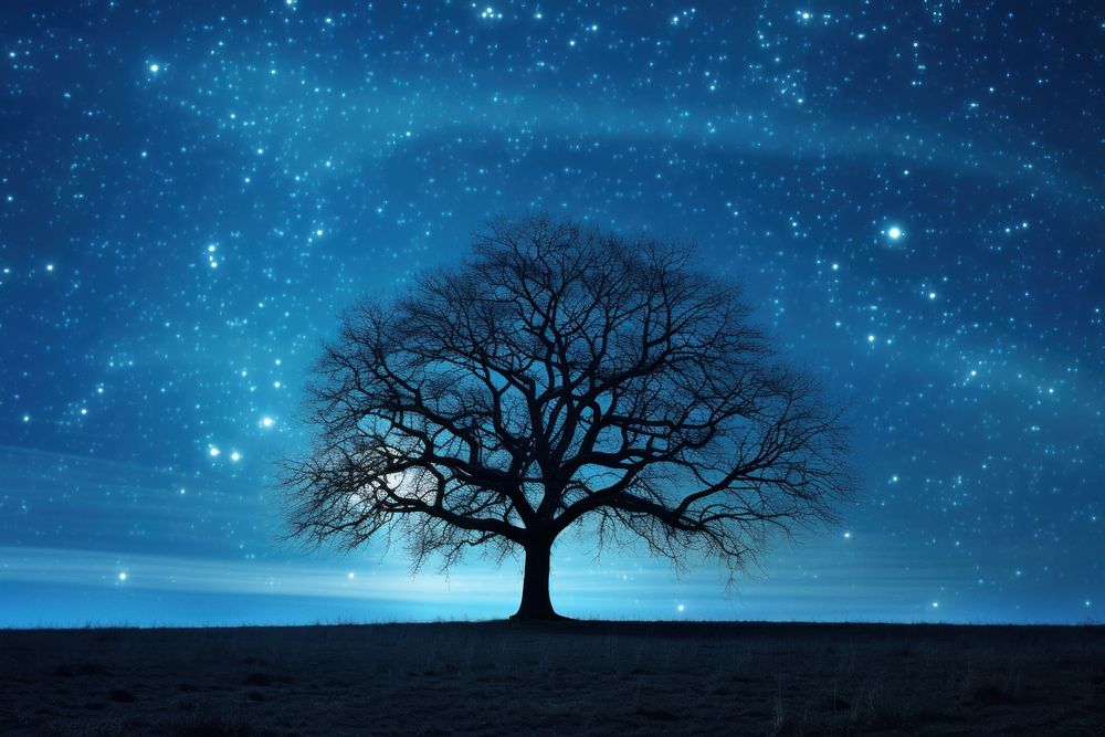 Stars tree sky landscape. AI generated Image by rawpixel.