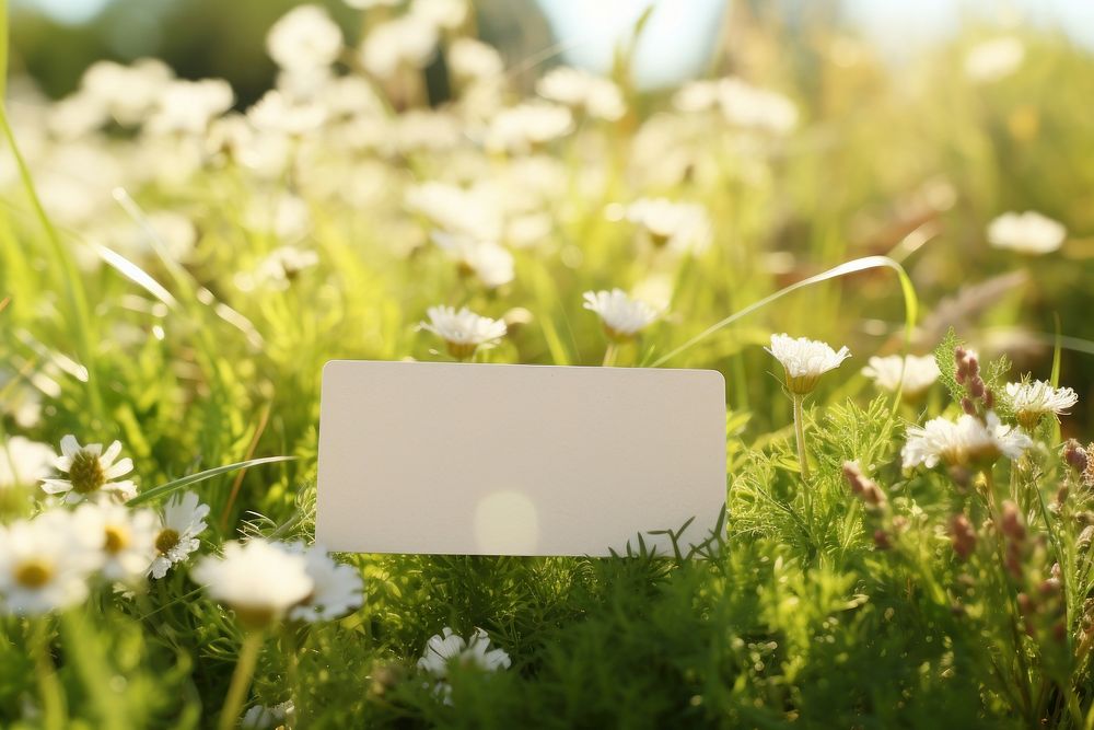 Business card with label packaging  flower field green.