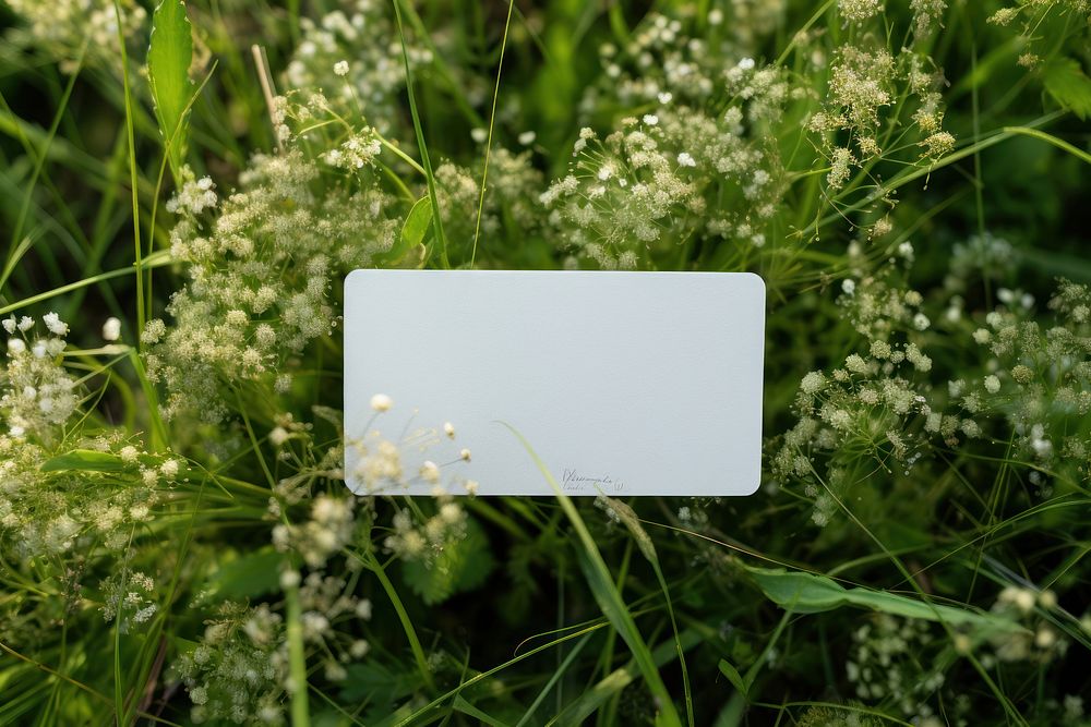 Business card with label packaging  flower green outdoors.