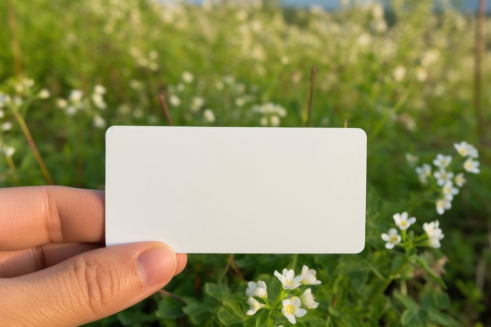 Business card with label packaging  flower plant field.
