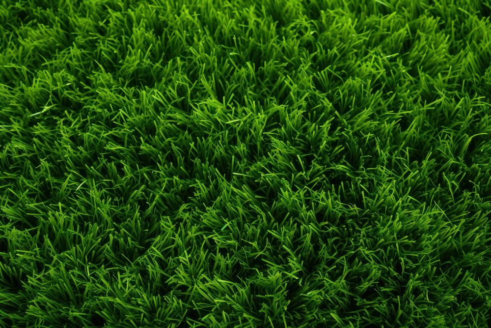 Green lawn backgrounds pattern grass.