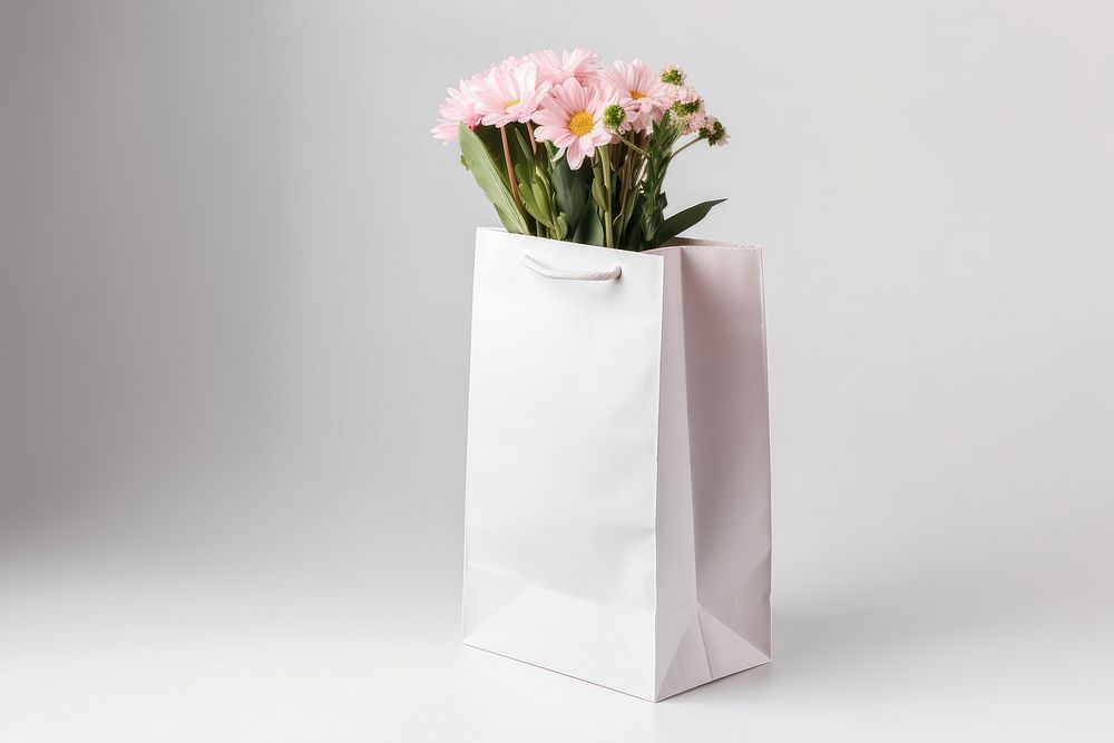 Flower carrier bag  plant white white background.