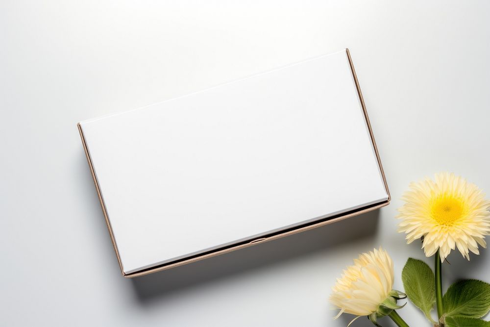 Mailing box packaging  flower plant white.