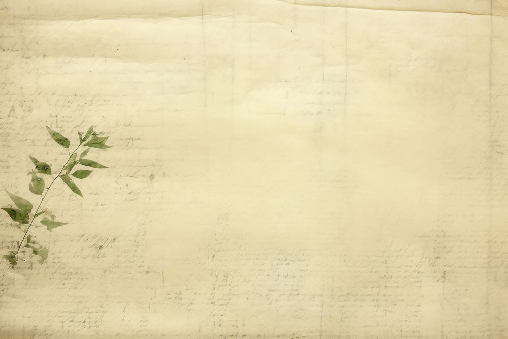 Old green paper backgrounds texture plant.