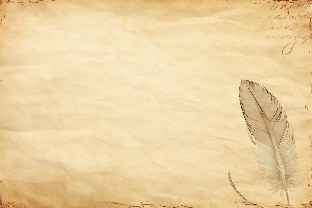 Old paper with sketch of feather backgrounds texture lightweight.