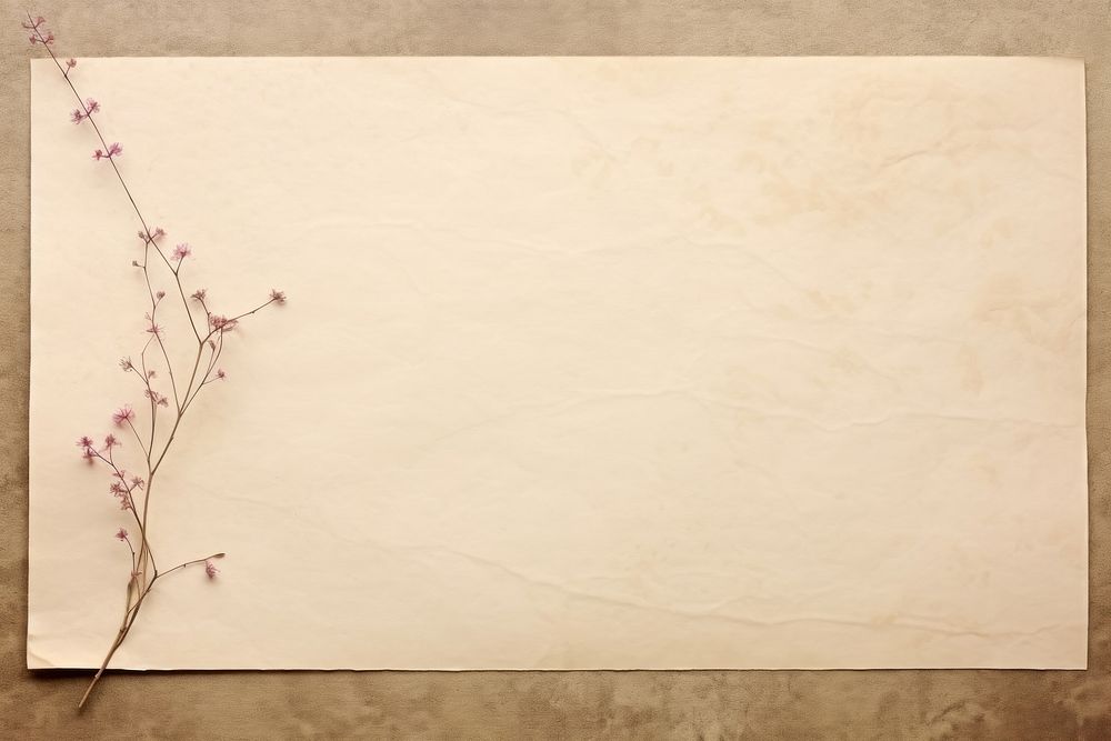 Old pink paper of letter with envelope flower plant calligraphy.