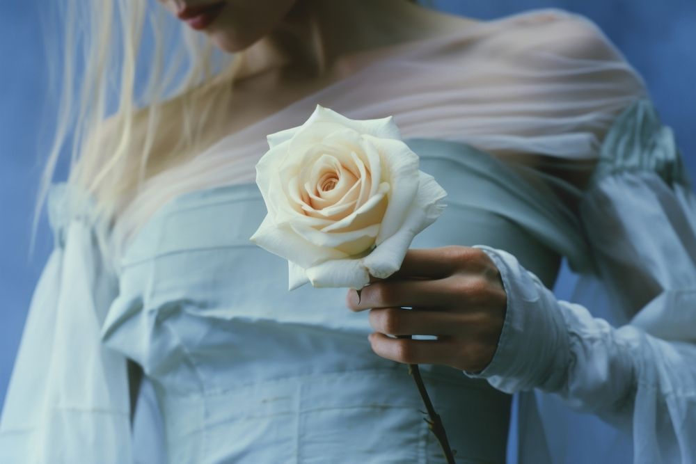 Bride holding white rose flower petal plant. AI generated Image by rawpixel.