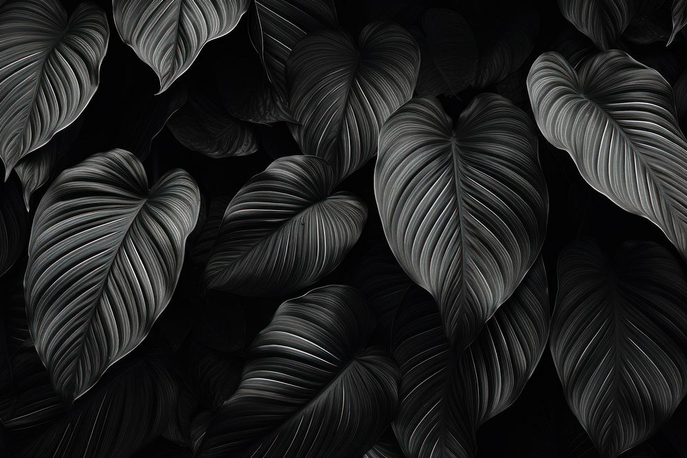 Black and white picture of large leaves backgrounds monochrome furniture. AI generated Image by rawpixel.