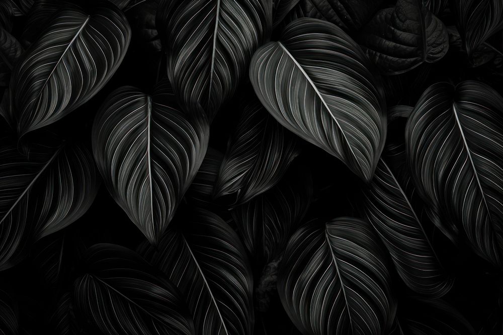 Large leaves dark desktop wallpaper black backgrounds monochrome. AI generated Image by rawpixel.