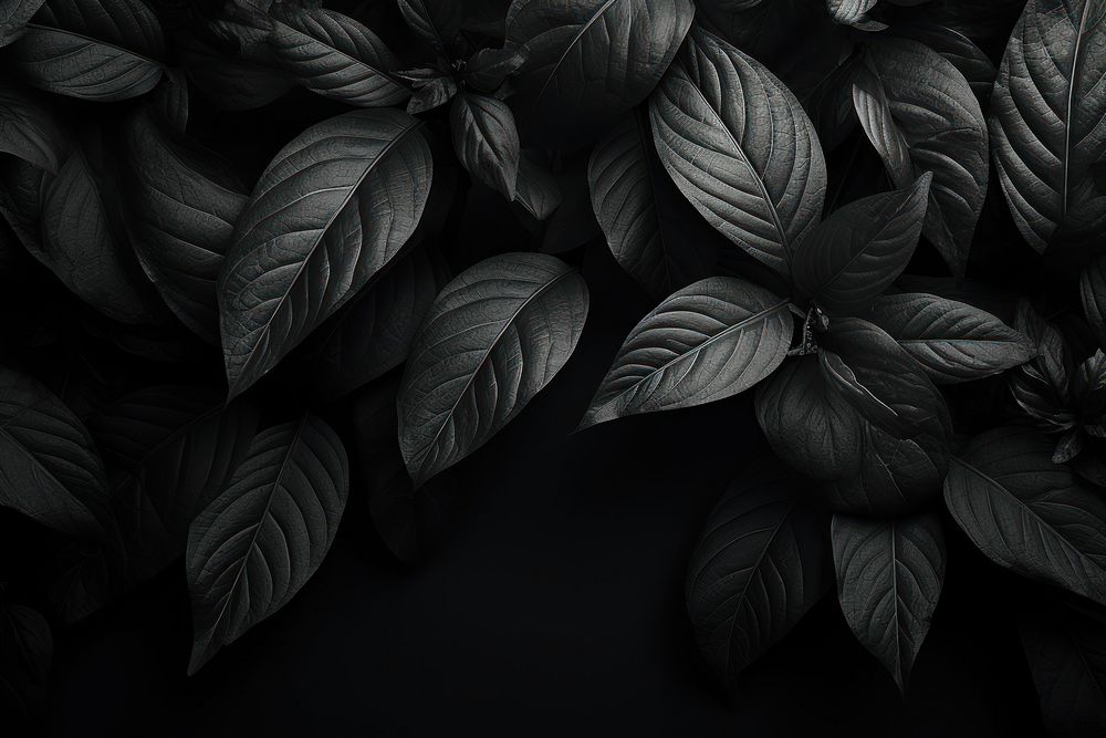 Leaves dark desktop wallpaper black backgrounds plant. AI generated Image by rawpixel.