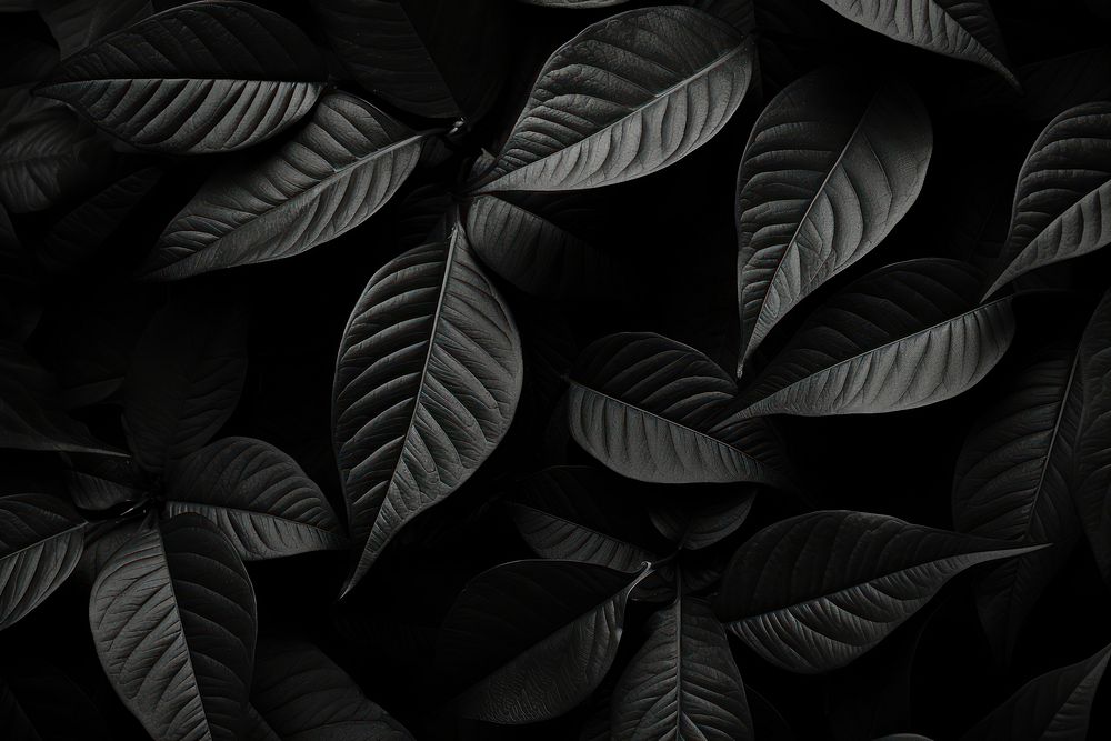 Leaves dark desktop wallpaper black backgrounds monochrome. AI generated Image by rawpixel.