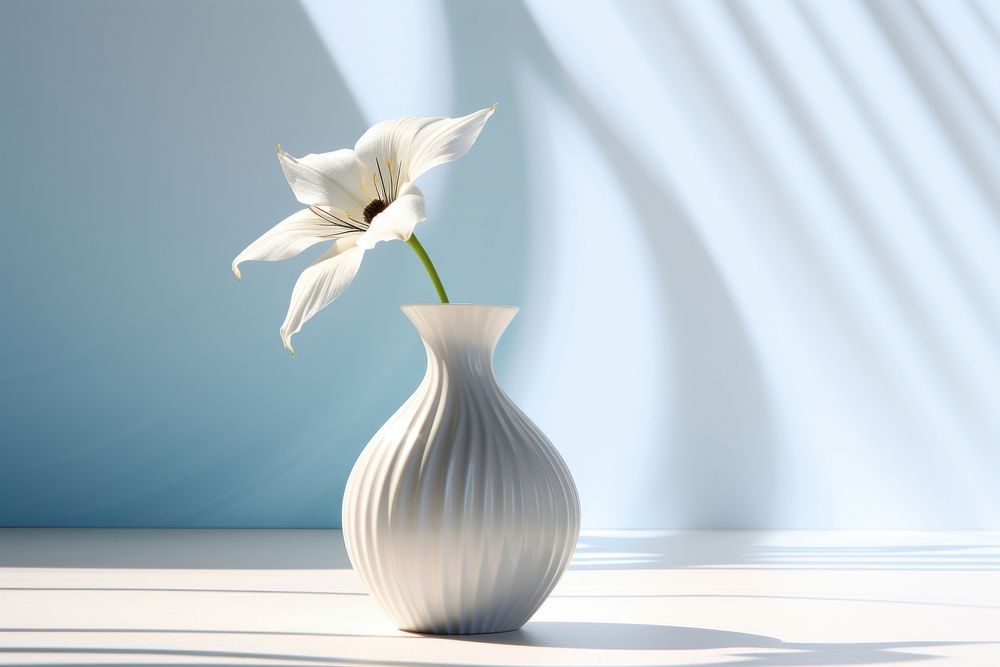 Flower vase plant white.