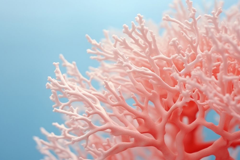 Minimal close up photo of a coral nature blue red. AI generated Image by rawpixel.