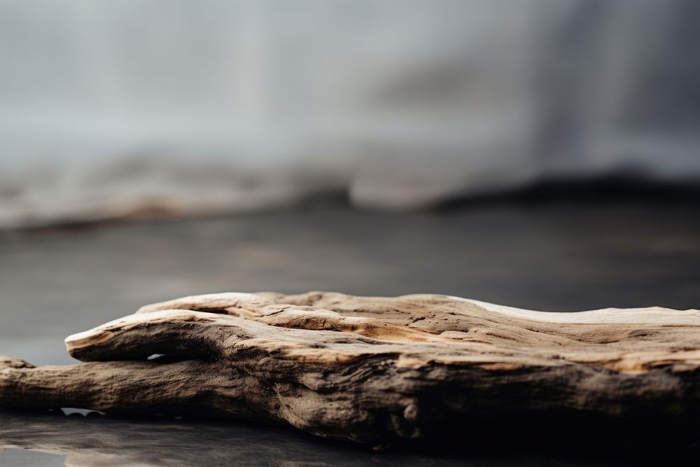A driftwood textured nature branch.