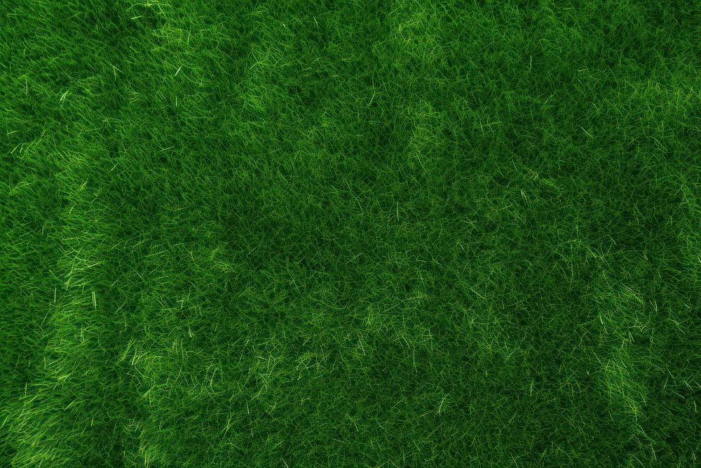 A green lawn backgrounds grass plant.