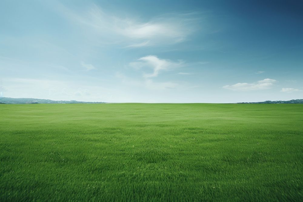 A green grass field landscape outdoors horizon.