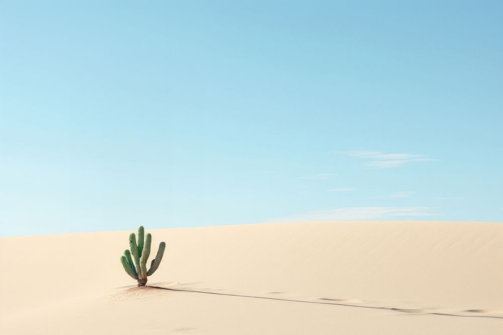 Cactus on the dune landscape outdoors horizon. AI generated Image by rawpixel.