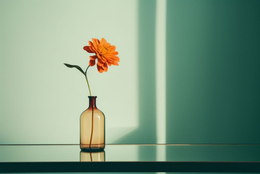 A flower in a vase on a table with mirror petal plant decoration. AI generated Image by rawpixel.