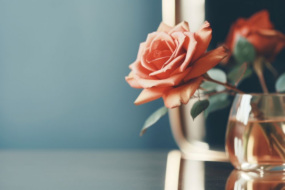 A rose flower in a vase on a table with mirror petal plant inflorescence. AI generated Image by rawpixel.
