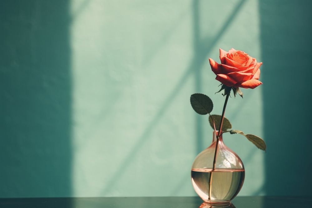 A rose flower in a vase on a table with mirror plant red inflorescence. AI generated Image by rawpixel.
