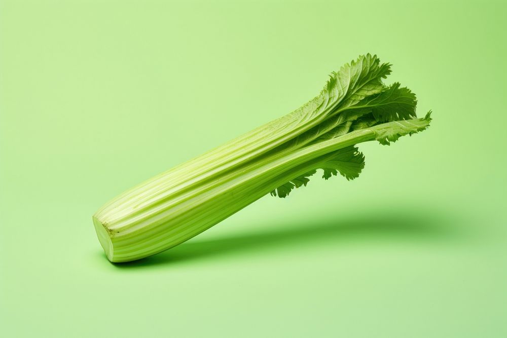 Celery vegetable plant food.
