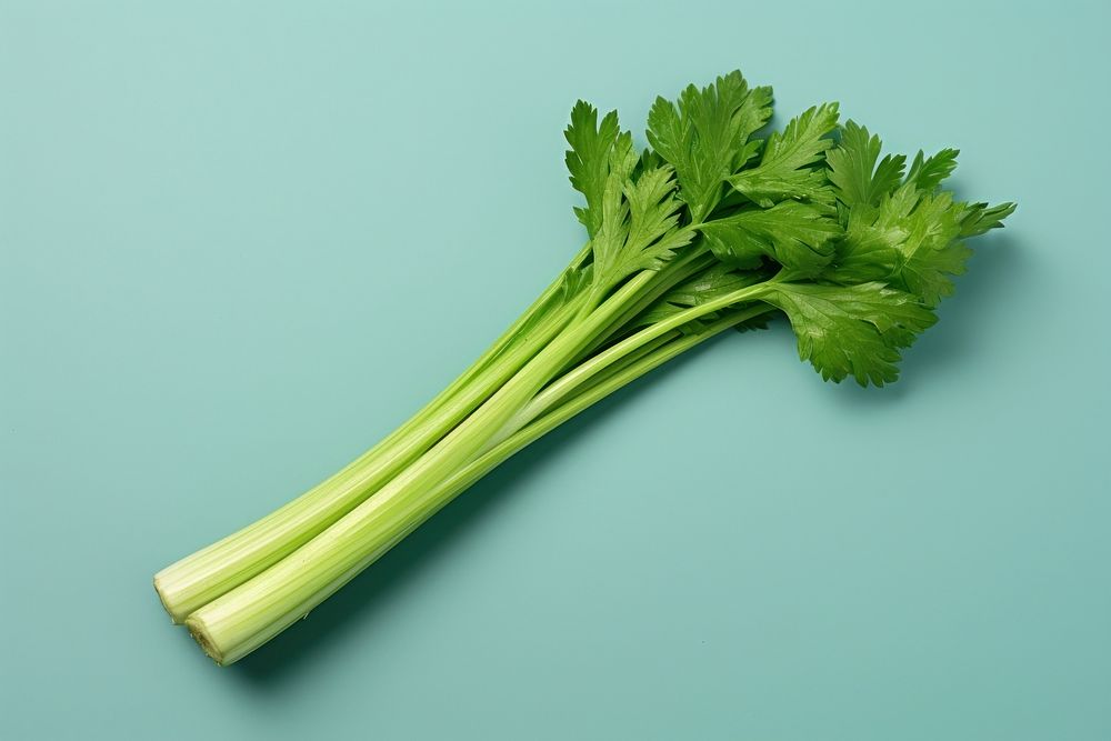 Celery parsley plant herbs.