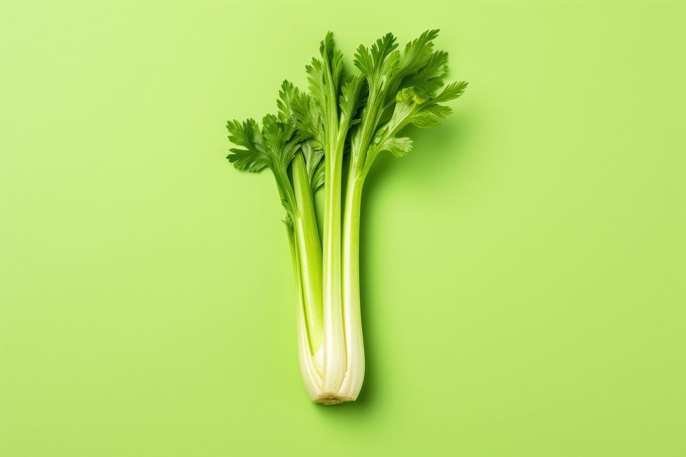 Celery plant herbs food.