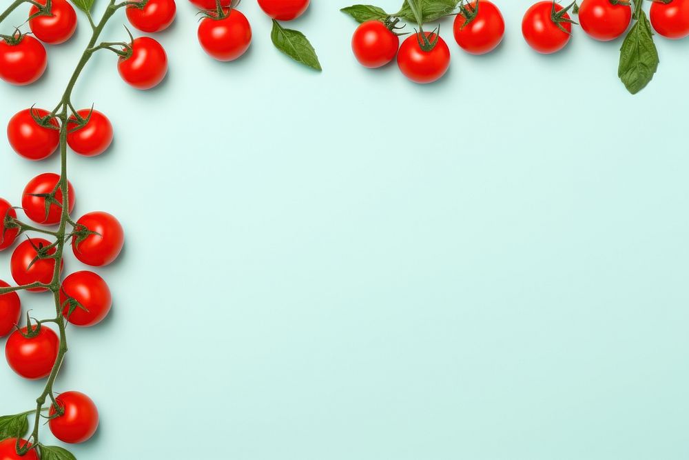 Cherry tomato frame border backgrounds fruit plant.